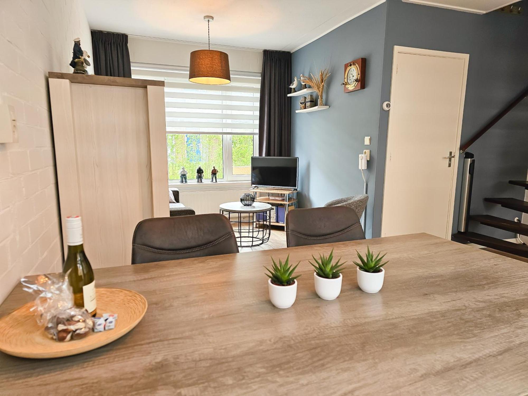 Sfeervolle Vakantiewoning Domburg Do15 Εξωτερικό φωτογραφία